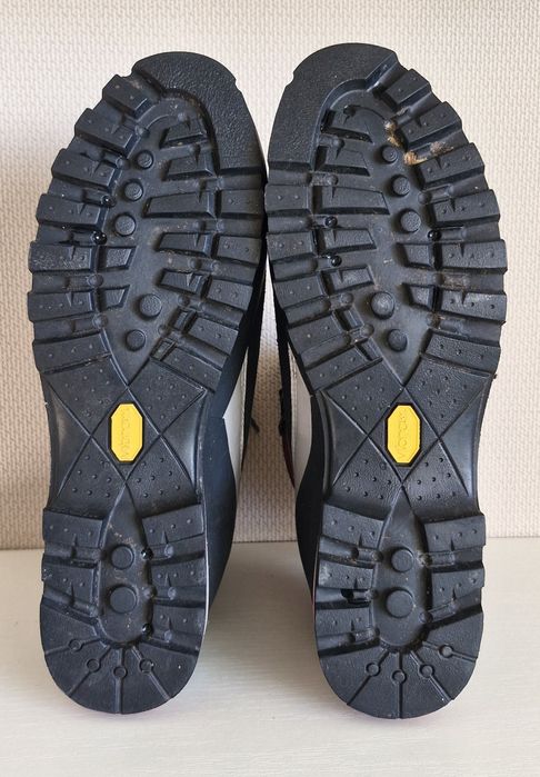 Чоловічі черевики для альпiнiзму Asolo Freney XT GV MM 41 розмiр