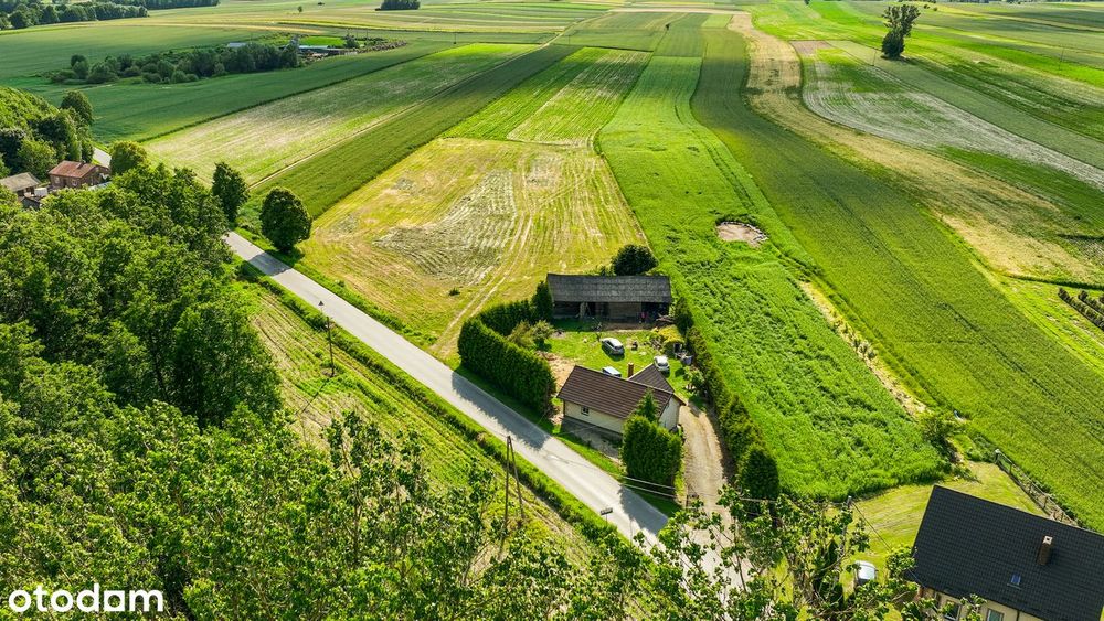 Bezpośrednio, MPZP, cisza, las– idealne pod Twój wymarzony dom => FILM