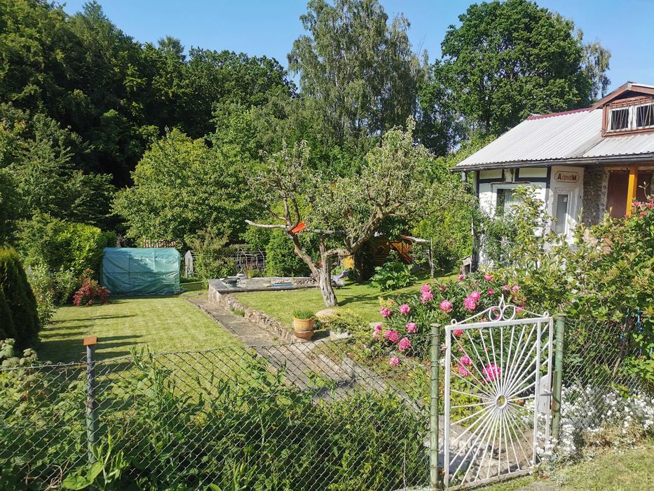 Działka ROD Gdańsk Morena ul Wołkowyska 6