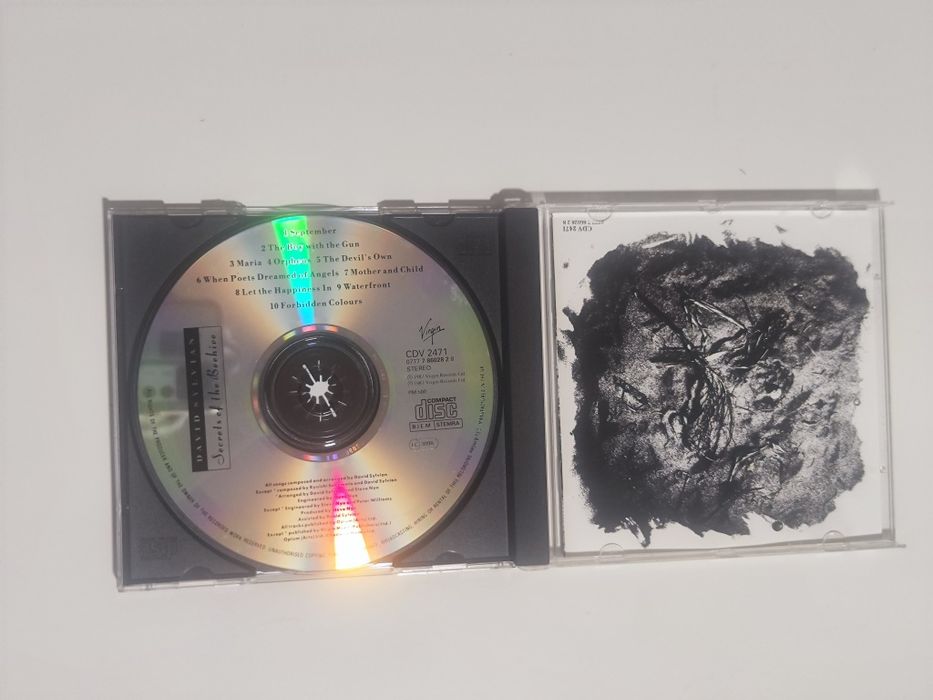 DAVID SYLVIAN Secrets of the Beehive