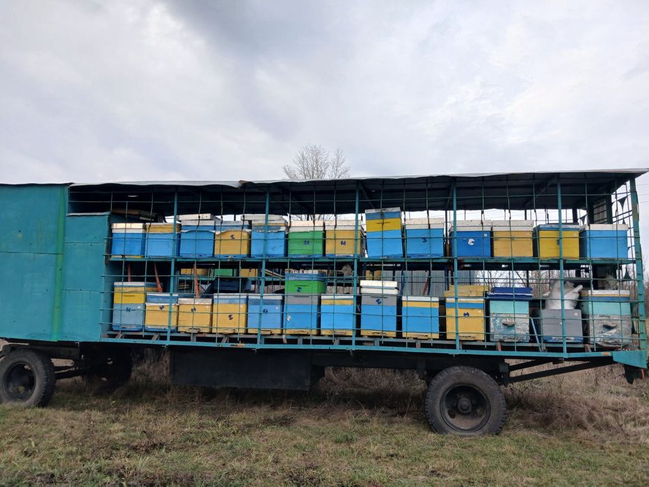 Прицепи для бджіл