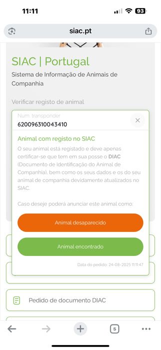 Fêmea british com um ano