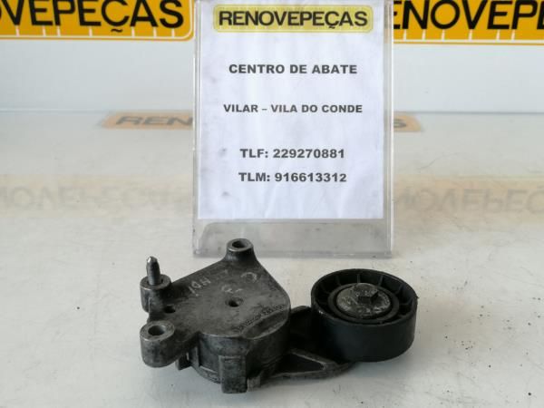 Tensor / esticador correia alternador CITROËN C3 I (FC_)