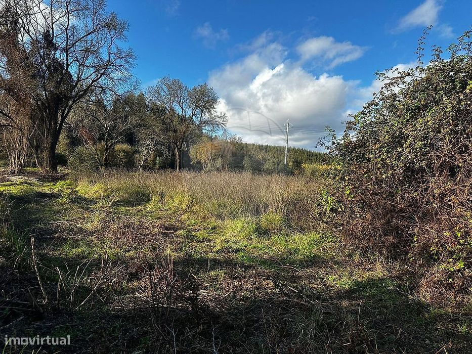 Terreno  para venda