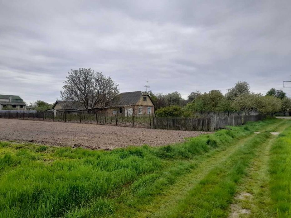 Шевченково ділянка 24 сот під будівництво на житловій вулиці.