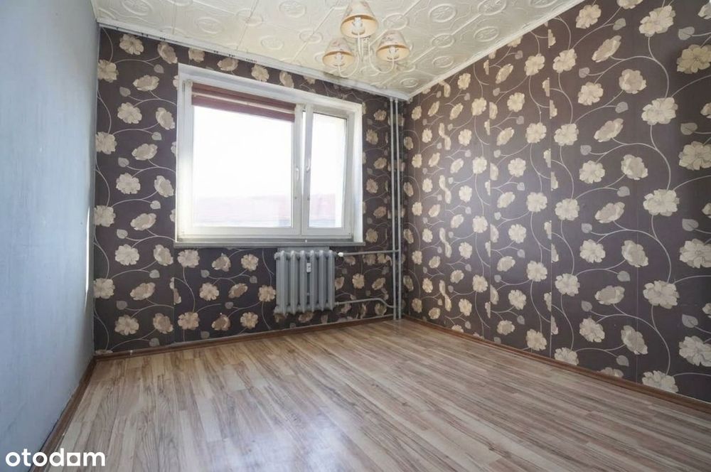 | Właściciel | 3 pokoje | Balkon | Winda | Top lokalizacja |
