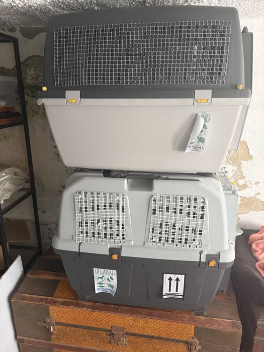 Caixa transportadora para cães