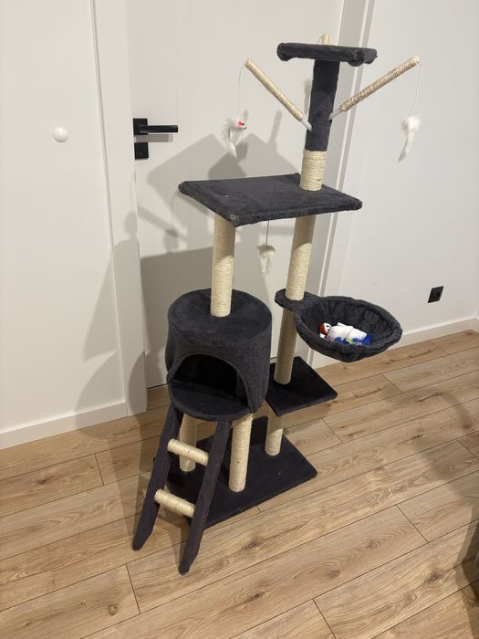 Kot Ragdoll (1 rok)+kuweta+drapak