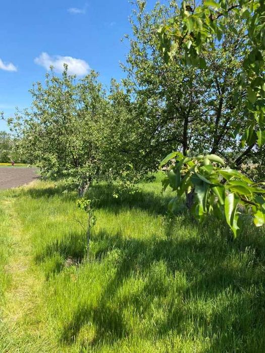 Продам будинок с. Заброди Богодухівський район (169150)