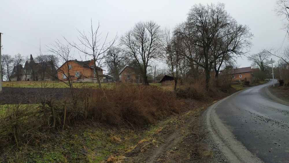 Продам кругляк ясеня.