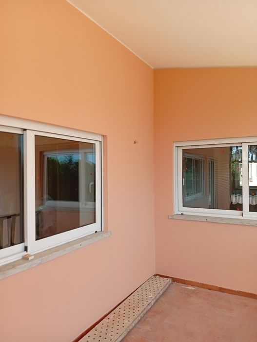 Ofereço mão de obra em troca de animais final de semana