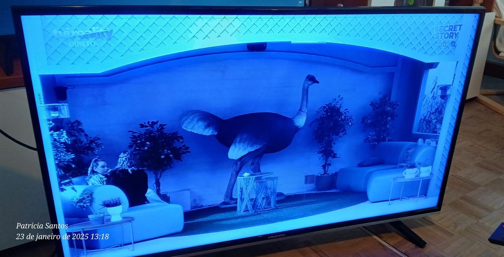 Televisão Grundig