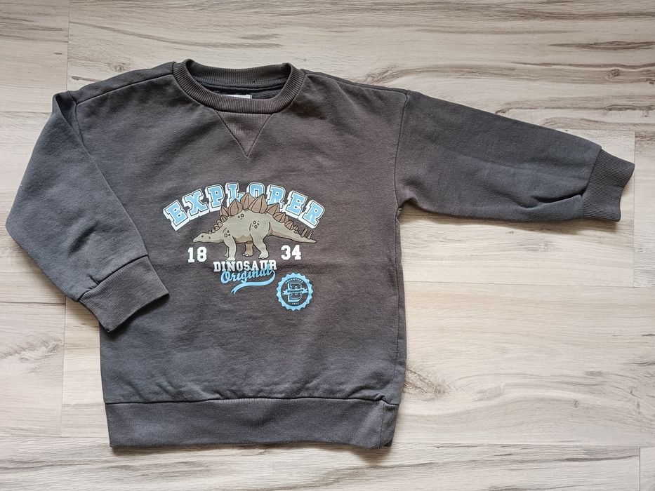 Bluza chłopięca dinozaury