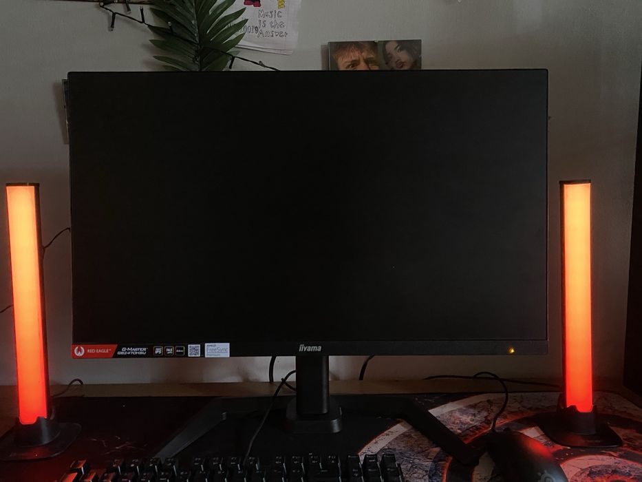 Monitor Iiyama 165hz