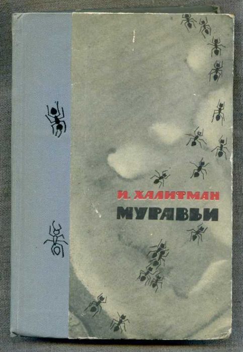 И. Халифман. Муравьи