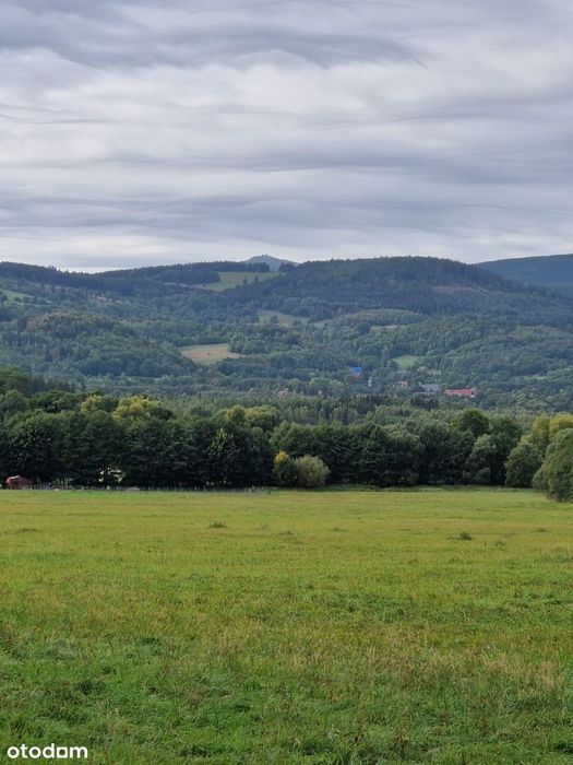 Działka w górach, Niedamirów
