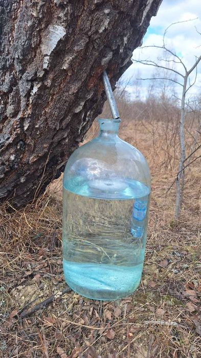 Березовий сік  свіжий також консервований
