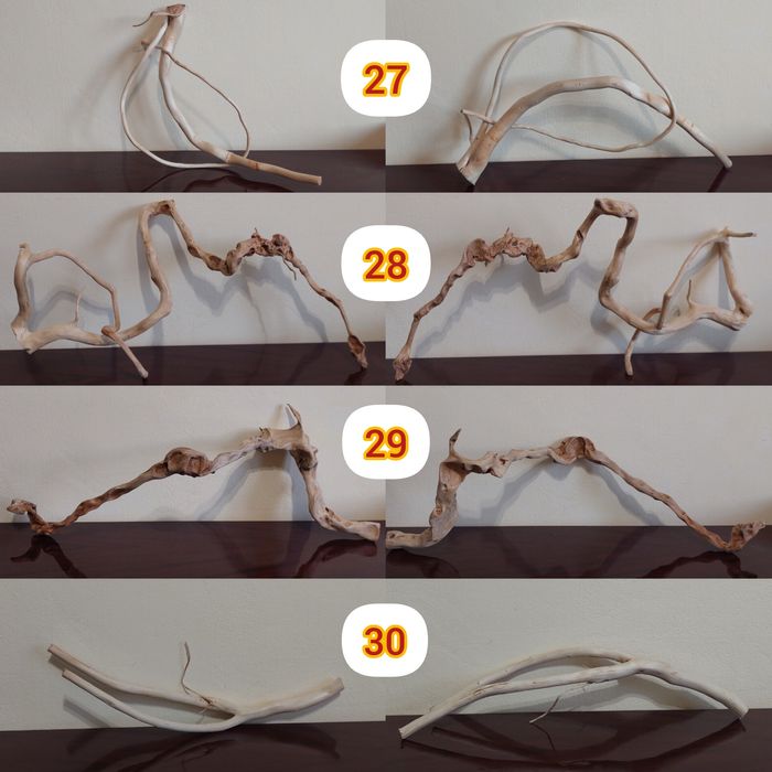 Продаю коряги, для декору акваріуму, або тераріуму