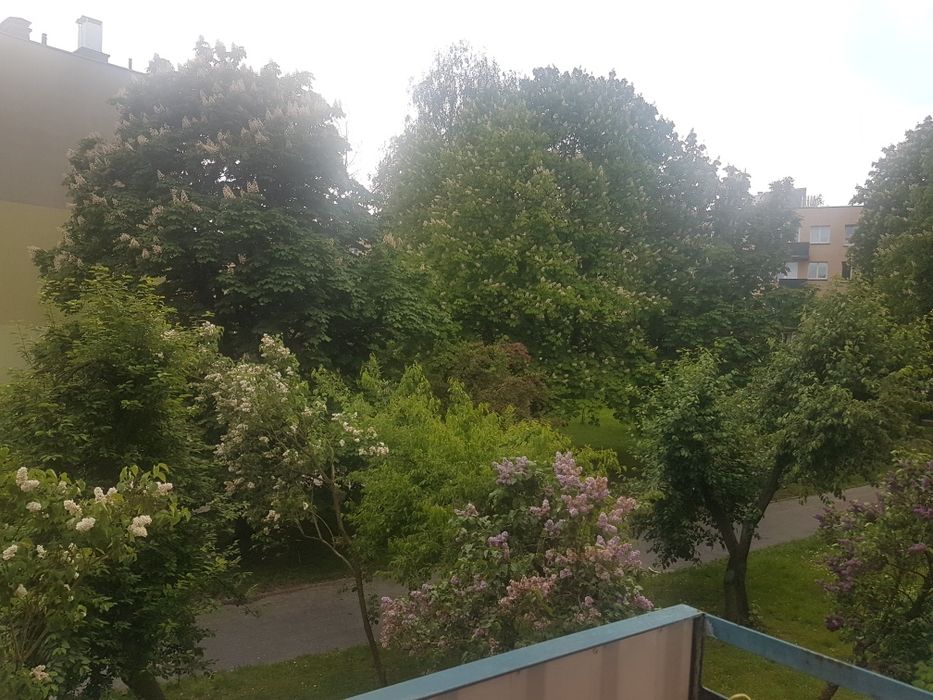 Mieszkanie – Lublin - Widok 5