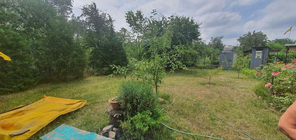 Продам дачу с. Орловщина