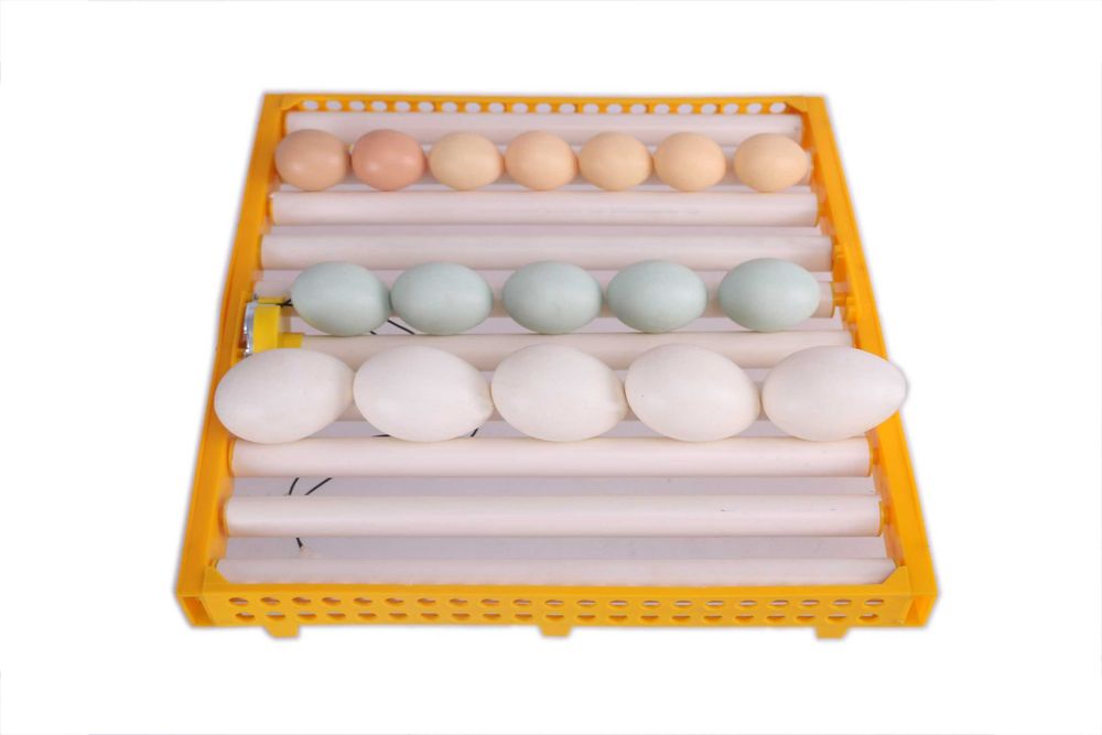 Incubadora/Chocadeira automática 144 ovos de codorniz ou perdiz