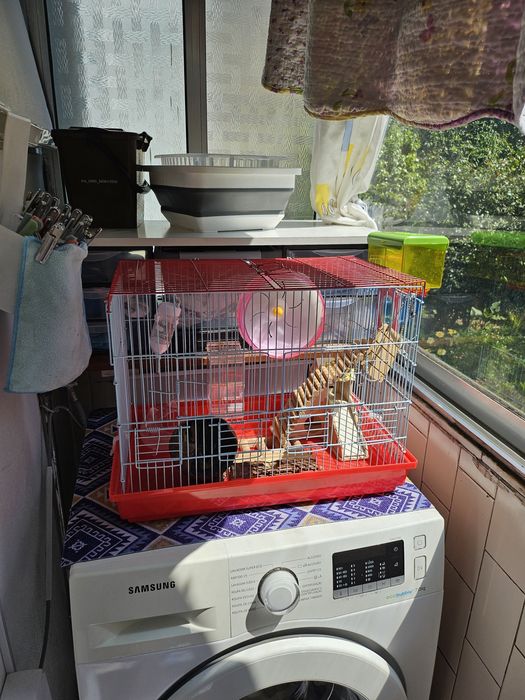 Gaiola  pássaros ou hamsters  completa