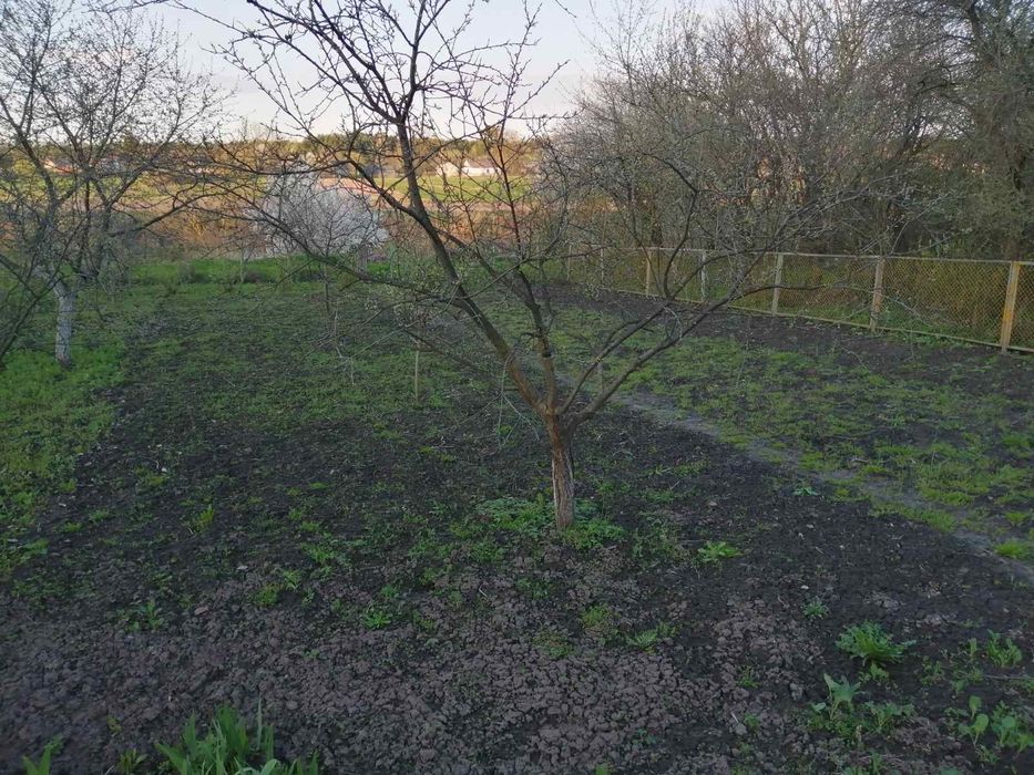 Продам дачну ділянку