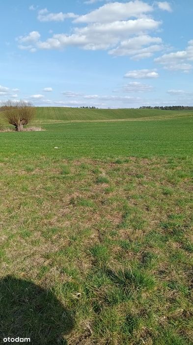 DZIAŁKA BUDOWLANA - Kolonia Ostrowicka- powiat Tczew , pomorskie - Widok 6