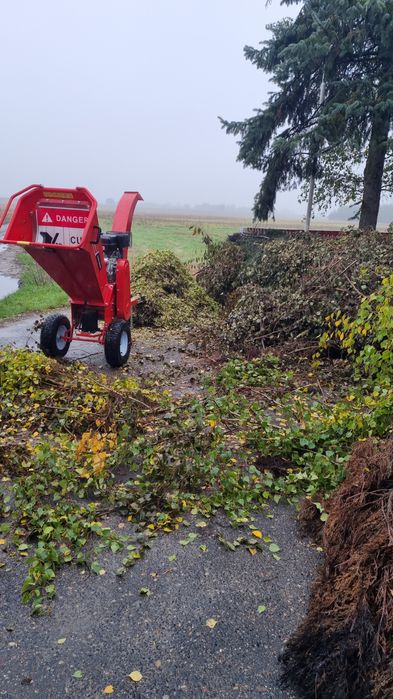 Wycinki drzew oraz pracę ogrodnicze