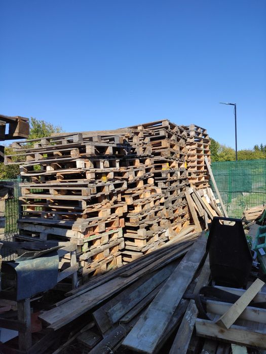 Palety jasne jednorazowe / max / amerykanki