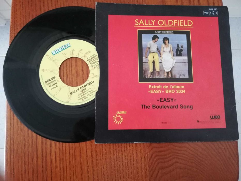 Discos vinil (diversos cantores e grupos)