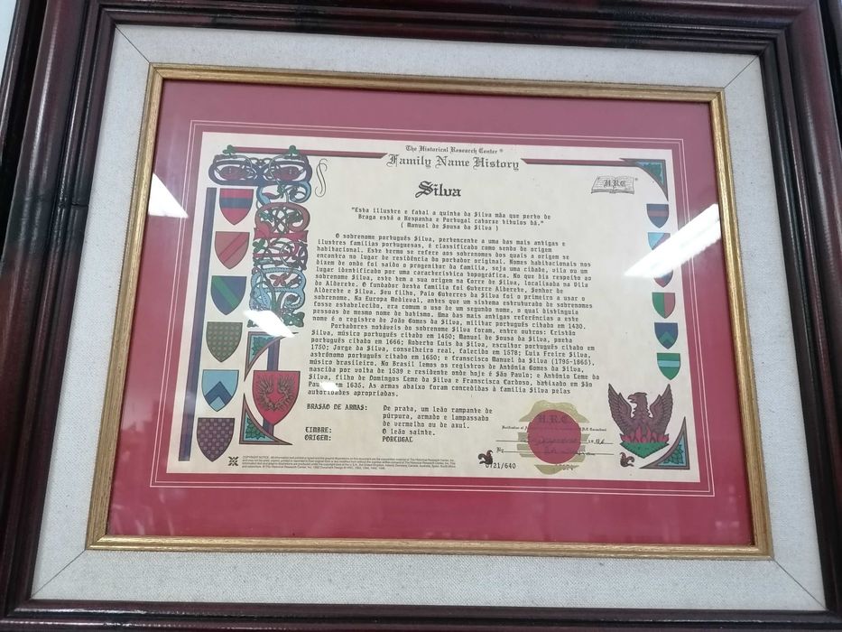 Moldura com história do nome de família Silva