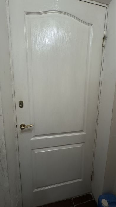 Двері міжкімнатні офісні