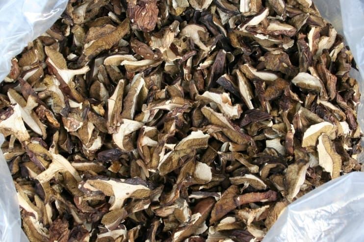 Grzyby suszone mieszane