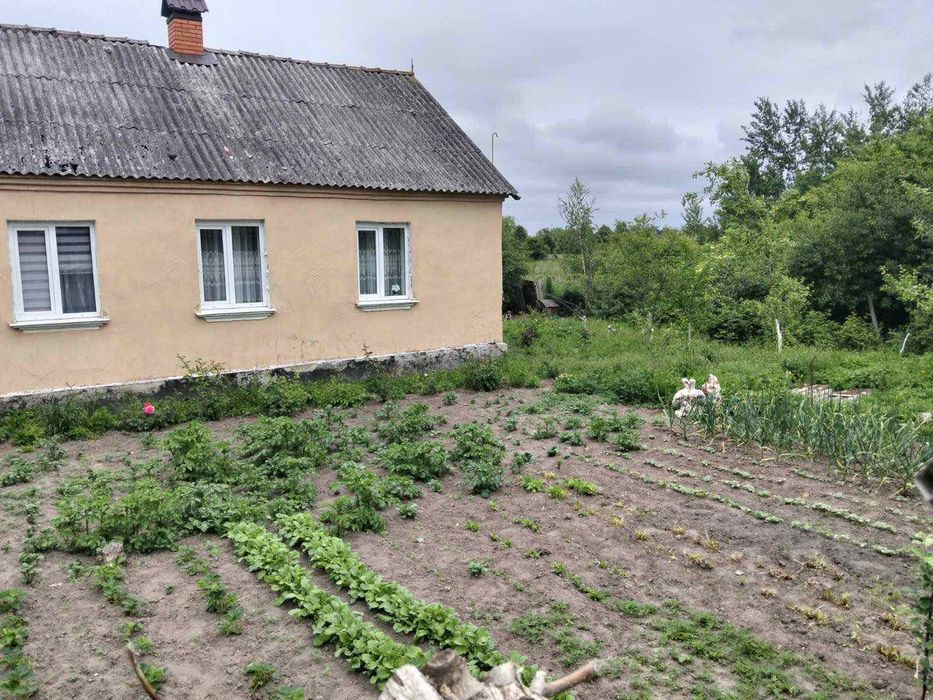 Продам  будинок в селі Шевченко