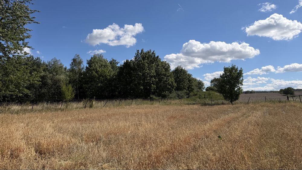 Działka budowlana 13 arów