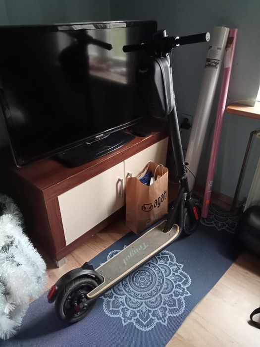 Hulajnoga elektryczna FRUGAL