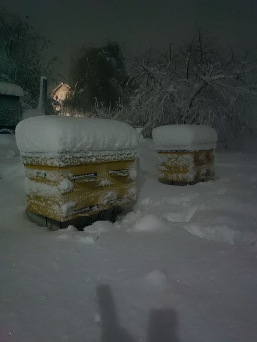 Вулики дадан 20, 22, 24 рамки