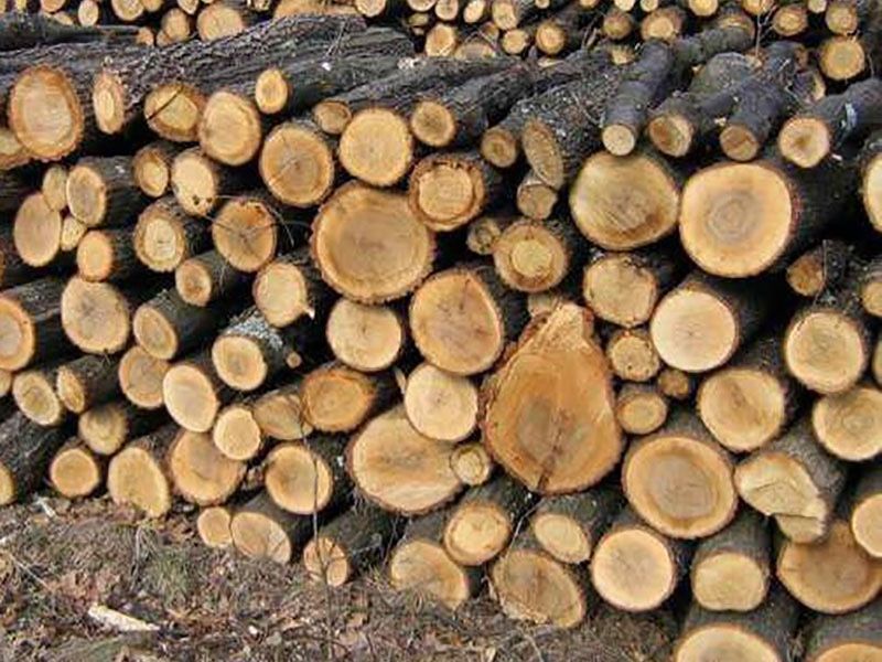 Дрова твердих порід