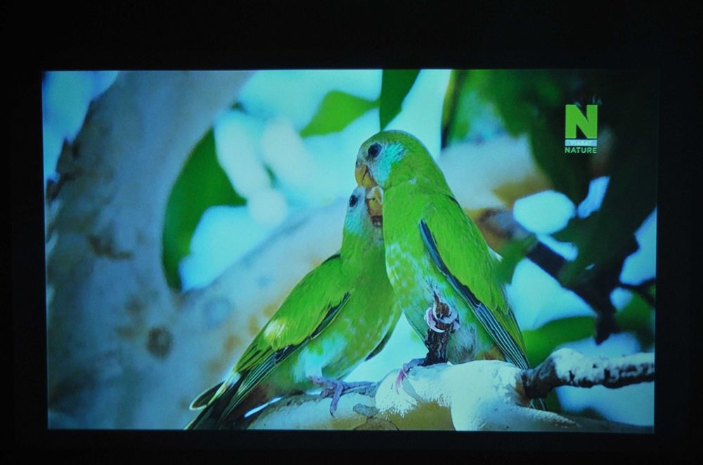 Проектор Byintec BL 127 LED 1280*800 Full HD + подарунок екран