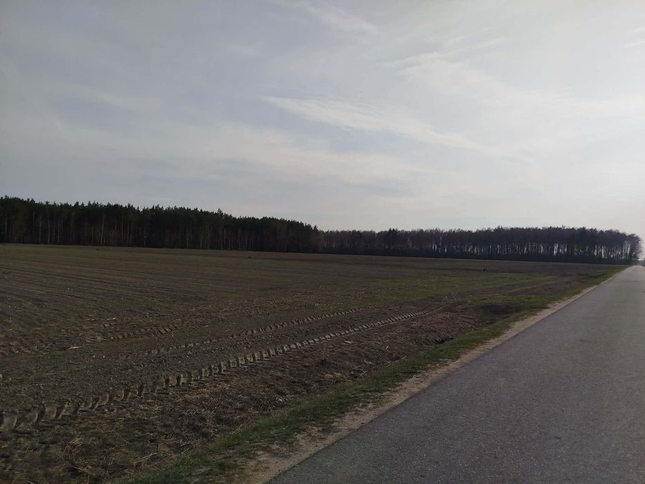 Zdjęcie 7