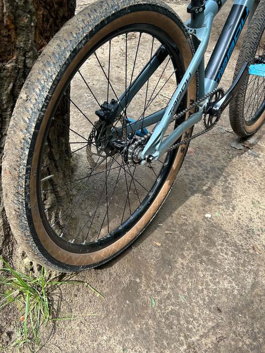 Rower Dirt   Tabou kola 26”