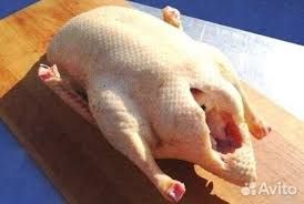 Утки и гуси под заказ