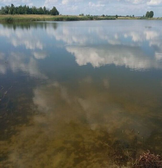 Гаряча пропозиція, Небрат, ділянка 55 соток осг, торг!