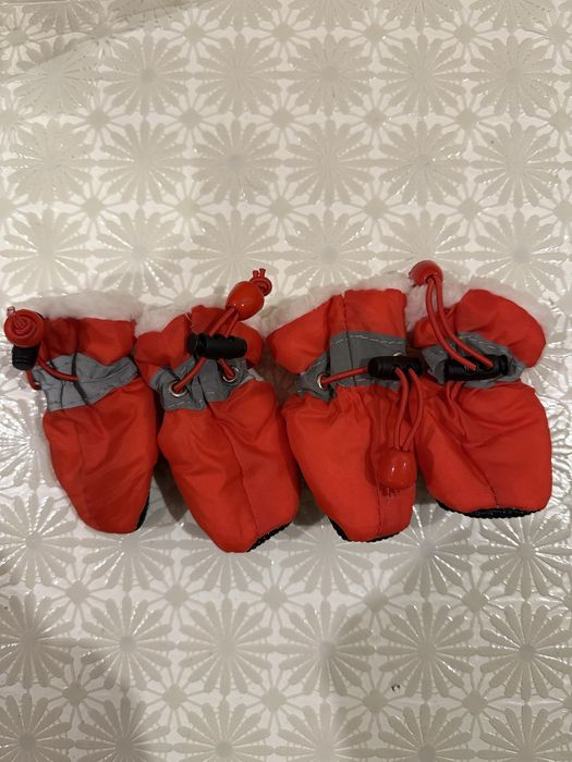 Взуття для собачки.