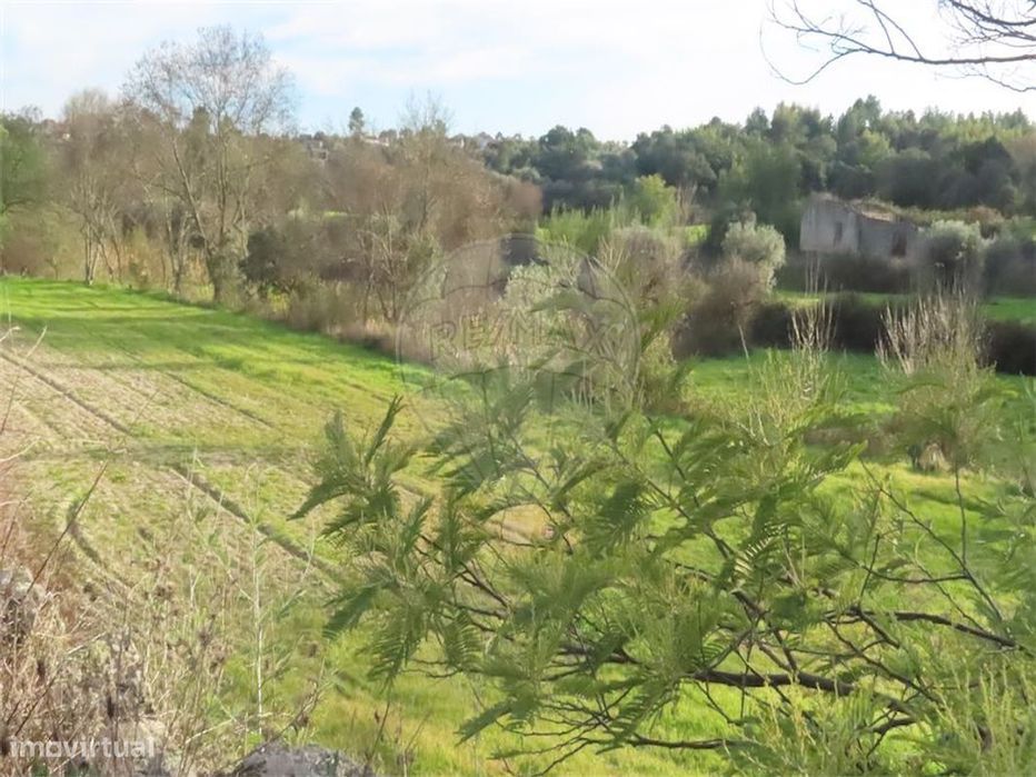 Quinta  para venda — Orca, Castelo Branco