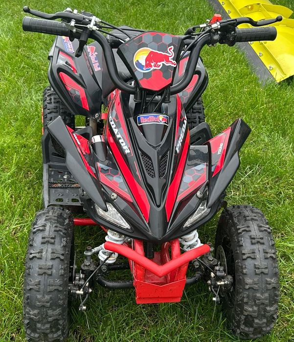 Cobra Moto