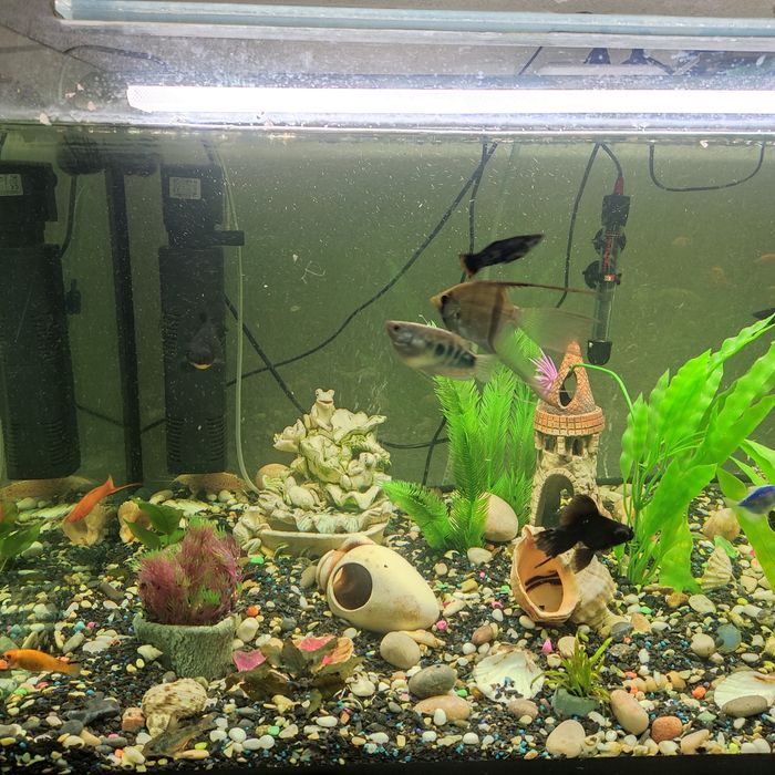 Продам аквариум на 450 литров