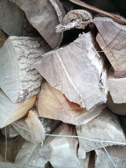 Drewno opałowe dąb, buk, klon