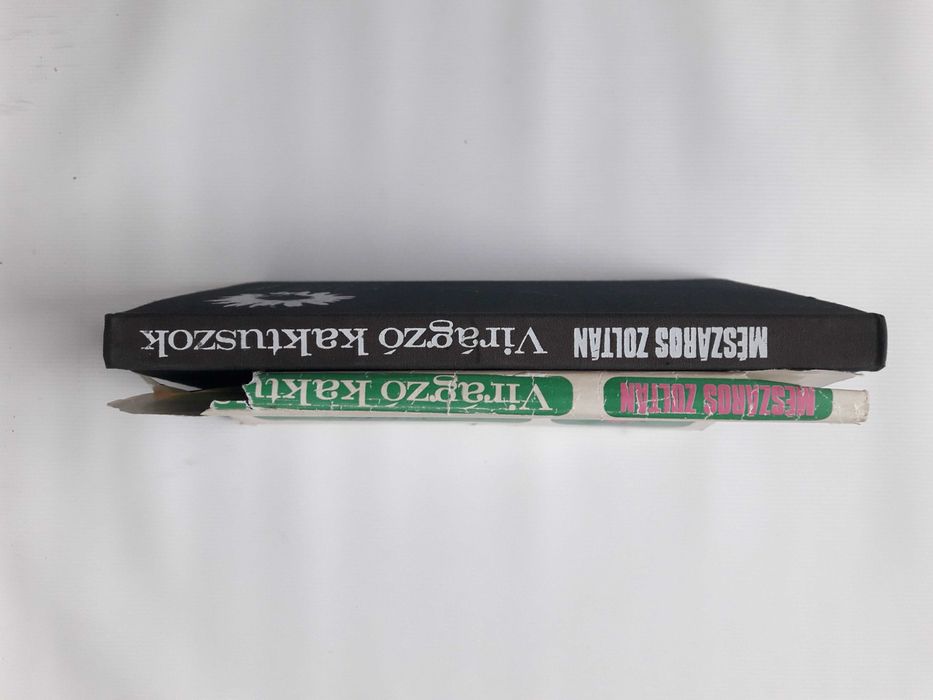 Цветущий кактус. На венгерском языке.